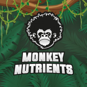 Monkey Nutrients Dr Blooms