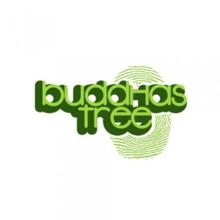 Buddhas Tree Base