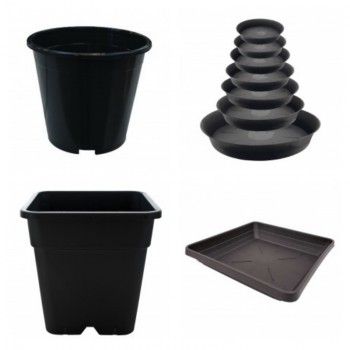 Trays & Pots