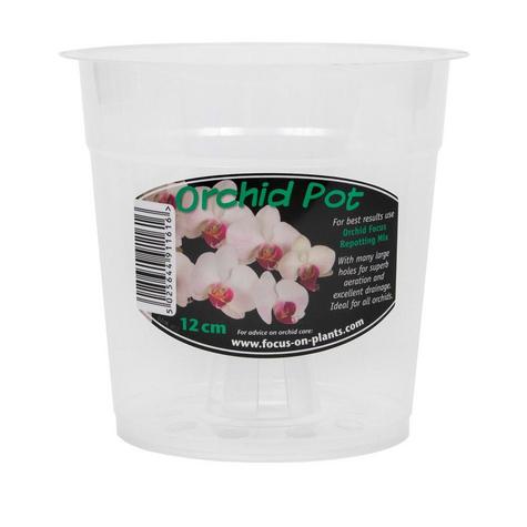 Clear Orchid pots - main image