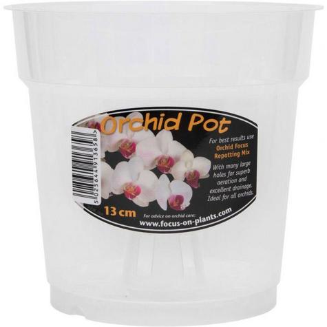 Clear Orchid pots - main image