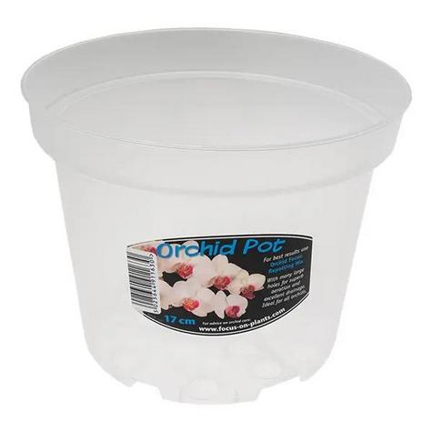 Clear Orchid pots - main image