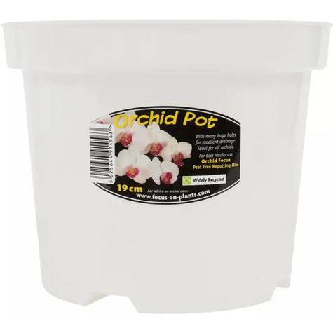 Clear Orchid pots - main image