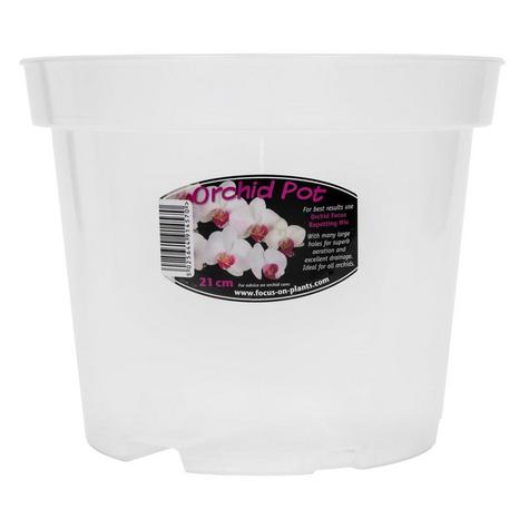 Clear Orchid pots - main image