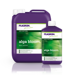 Plagron Alga Bloom