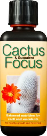 Cactus Focus 100ml/300ml