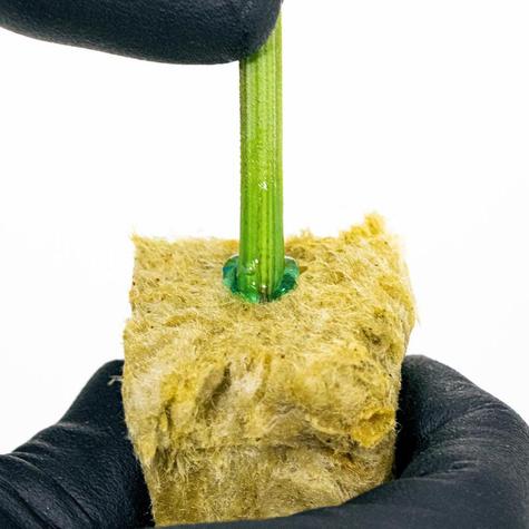 Athena Cuts Rooting Gel - main image