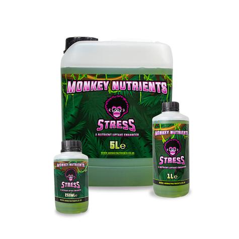 Monkey Stress/Silicone