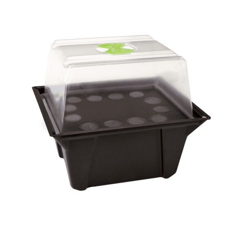 X Stream Propagator - main image