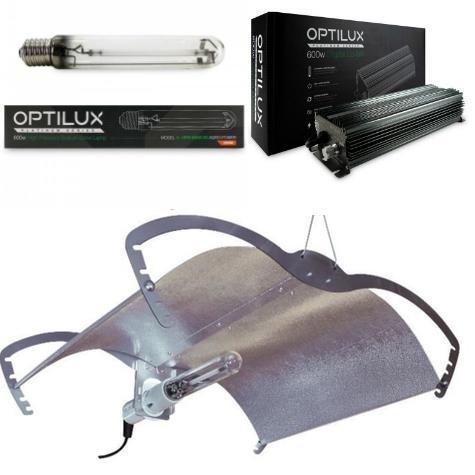 600w Optilux Digital Mantis Light Kit 