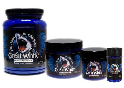 Great White by Plant Success - main image