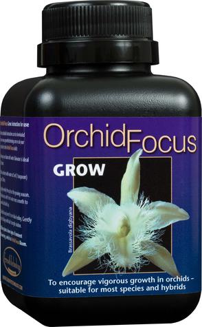 Orchid Focus Grow