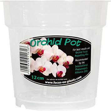 Clear Orchid pots - main image