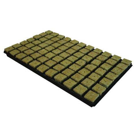 Cultilene CRB Large (35mm) Propagator Cubes Trays of 77