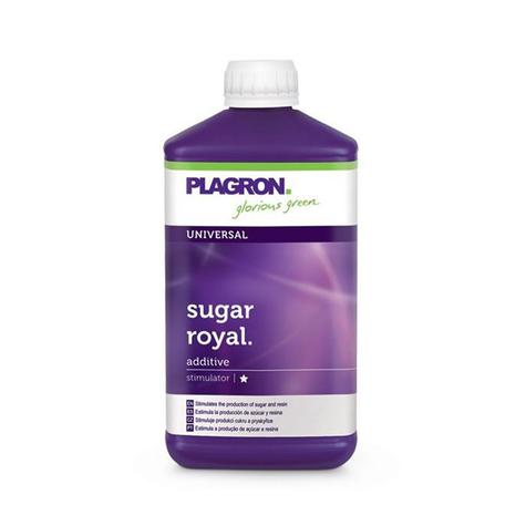 Plagron Sugar Royal