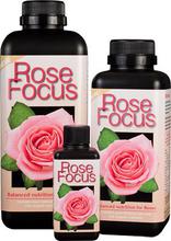 Rose Focus