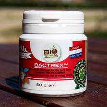 BioTabs Bactrex