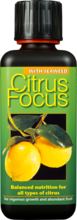 Citrus Focus