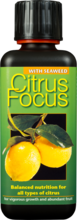 Citrus Focus