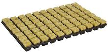 Cultilene CRB Large (35mm) Propagator Cubes Trays of 77