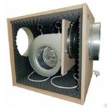 GORILLA ACOUSTIC BOX FANS