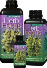 Herb Focus 100ml / 300ml / 1L