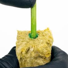 Athena Cuts Rooting Gel - thumbnail image 7