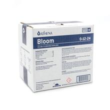 Athena Pro Line Bloom