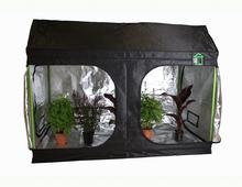 Roof Qube 240W Grow Tent
