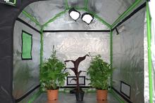 Roof Qube 240W Grow Tent