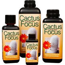 Cactus Focus 100ml/300ml