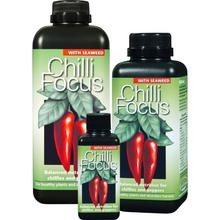 Chilli Focus