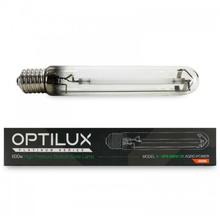 600w Optilux Digital Mantis Light Kit  - thumbnail image 3