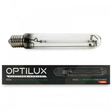 600w Optilux Digital Mantis Light Kit 