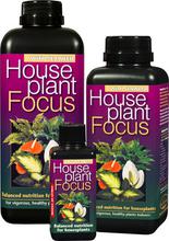 House Plant Focus