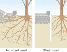 Root Control Sheet 116 x 51cm