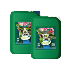 Dutch Pro Bloom Soil A+B