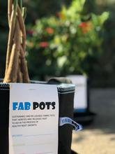 Fab Pots